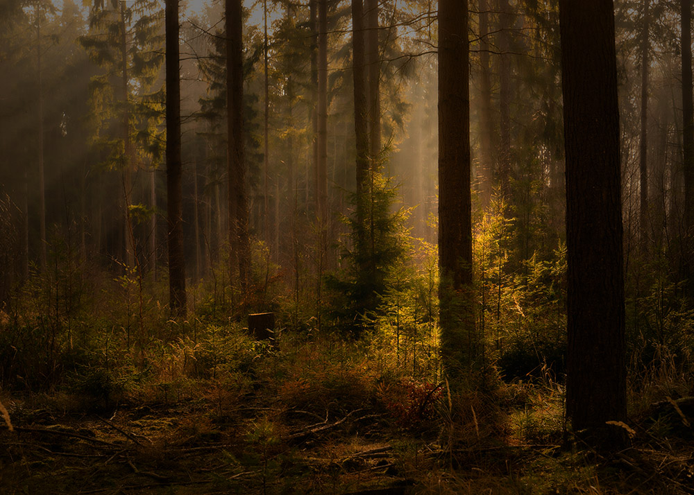 InWachtberg InWachtberg