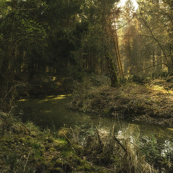 Aprilwald Villiprott 280, 2019