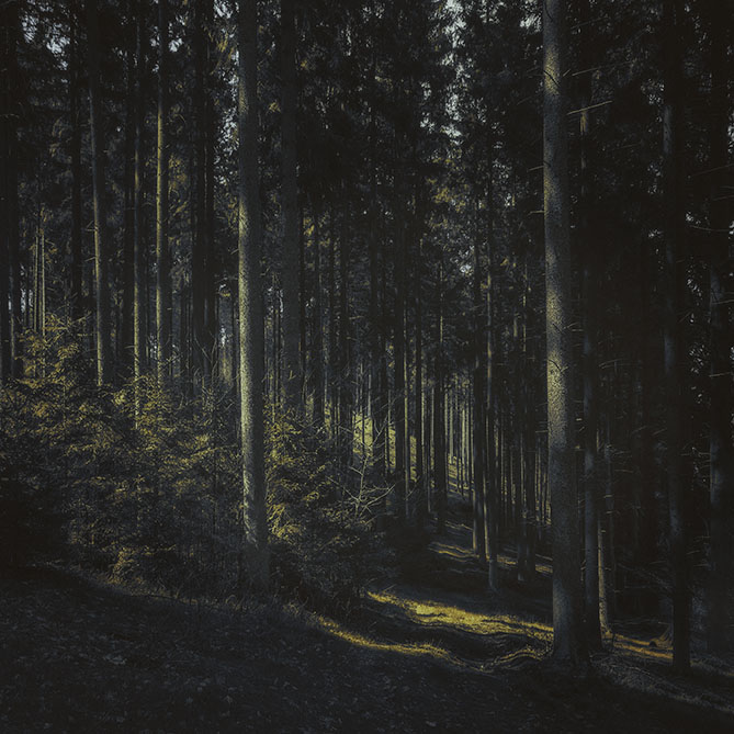 Rothaargebierge , 2019