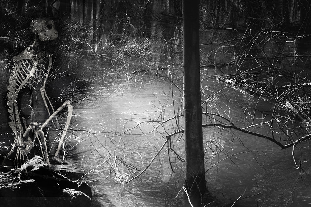 Siegaue mit Gestalt, 2019