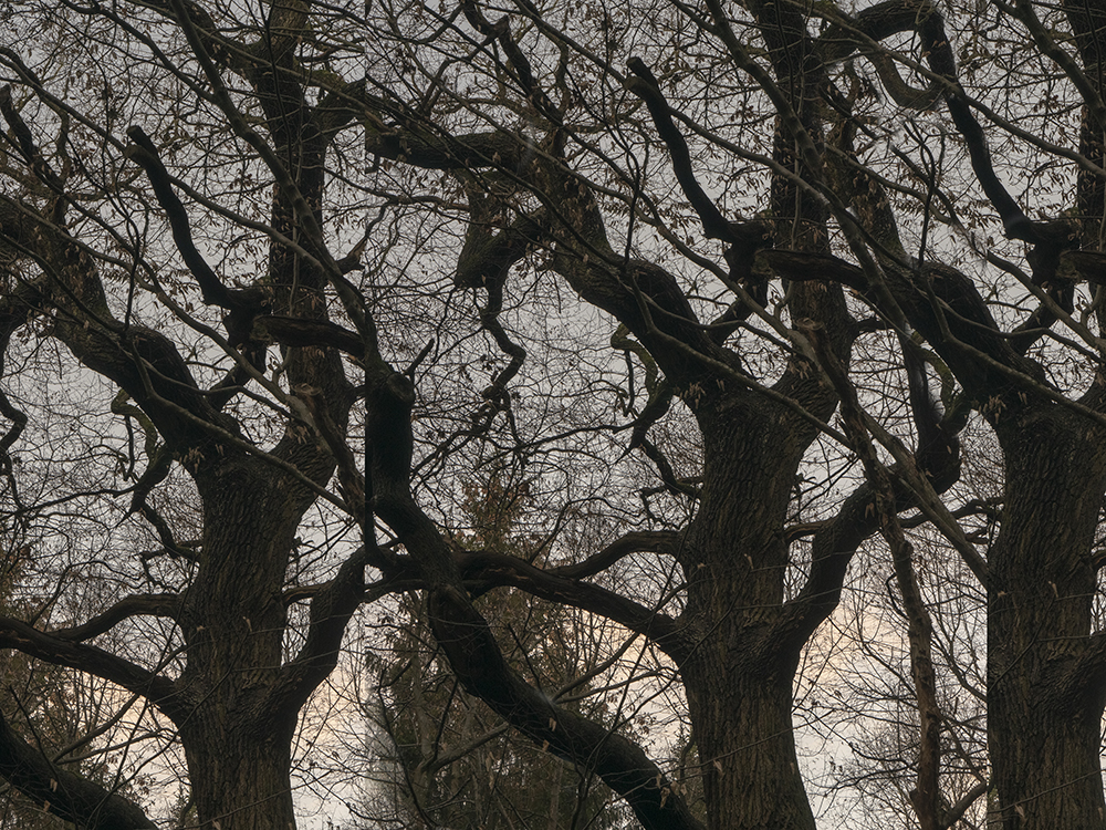 WaldstÃ¼cke 1, 2018