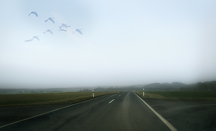 Beuel KriegsgrÃ¤ber