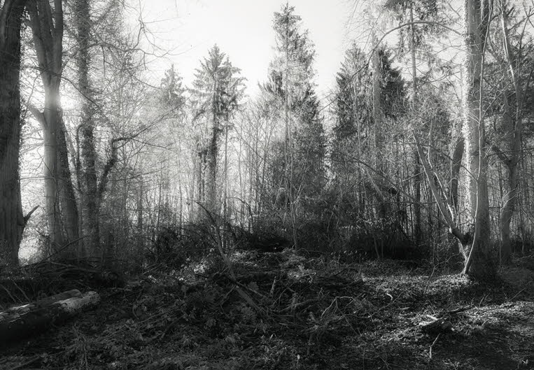 Marienforst 131c 39x56atrix