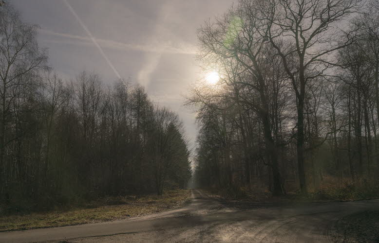 Villiprott 126 weicher Nebel