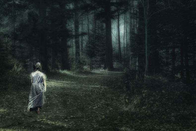 Schwarzwald( Sylvia), 2018