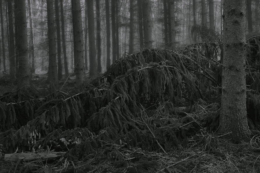 Aprilwald Villiprott 142-a