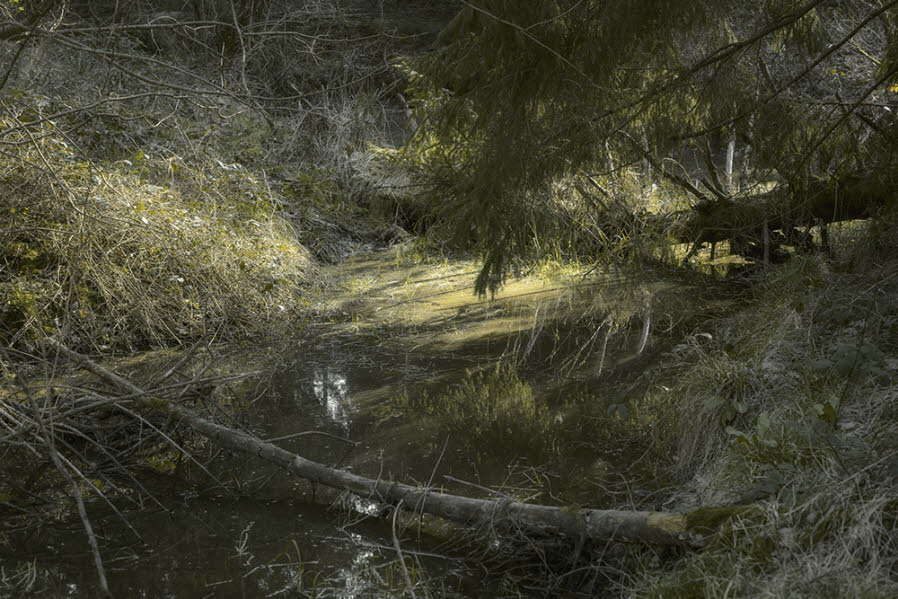 Aprilwald Villiprott 307 -2