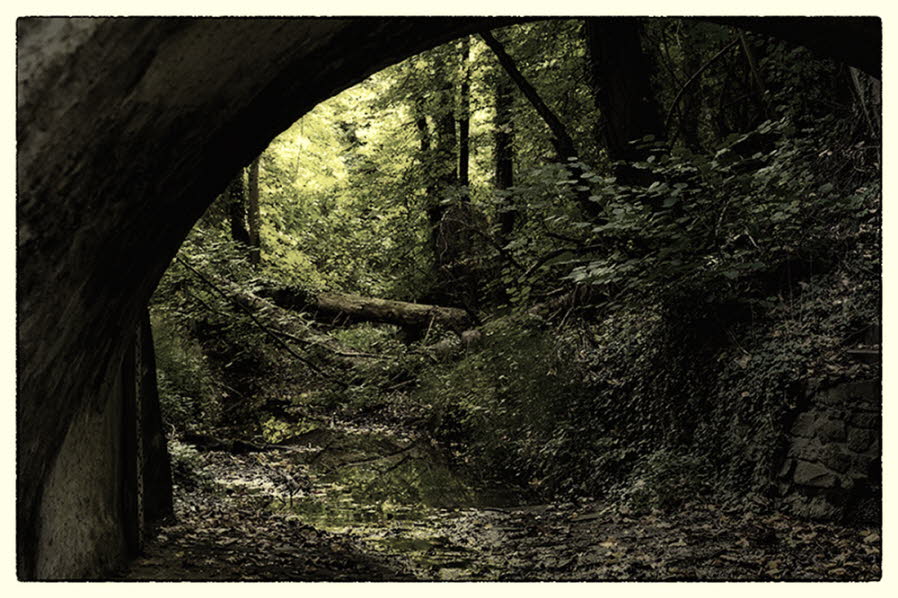 Bach Tonkurve-125 b Duplex