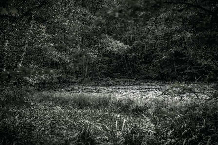 Kottenforst bei Wachtberg 013-HDRc