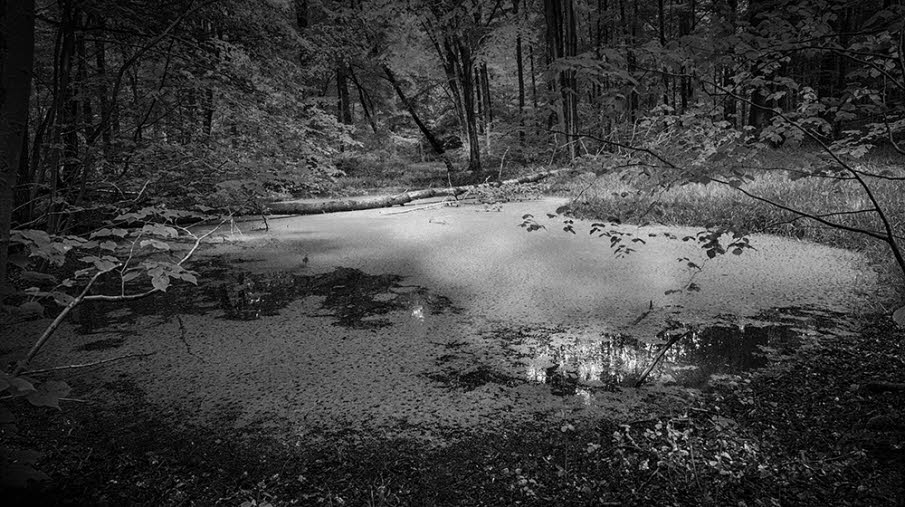 jenseits der Autobahn 094-c getupft