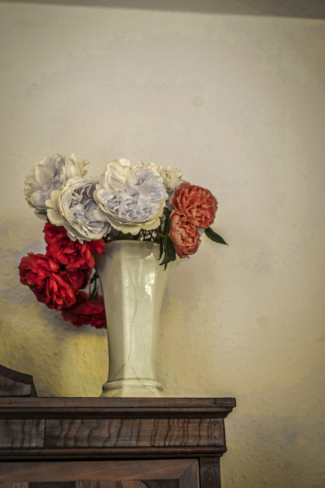 Mohn und Akelei