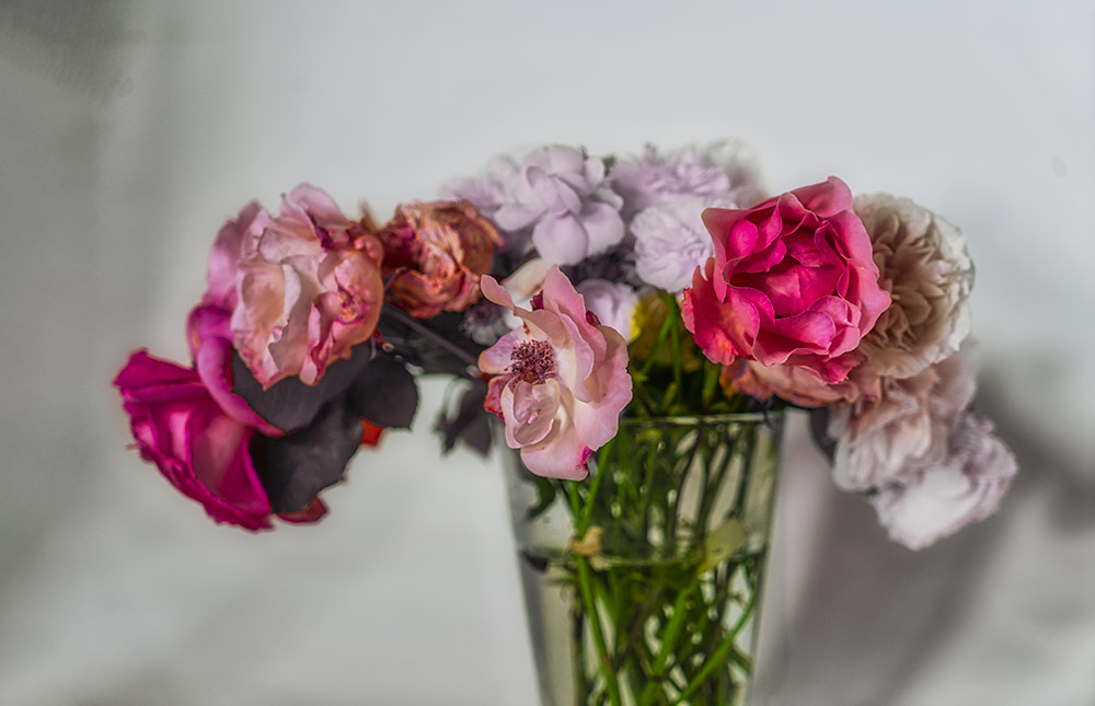 Mohn und Akelei