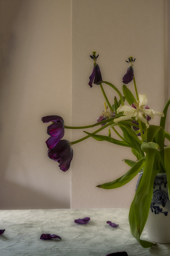 Blumen